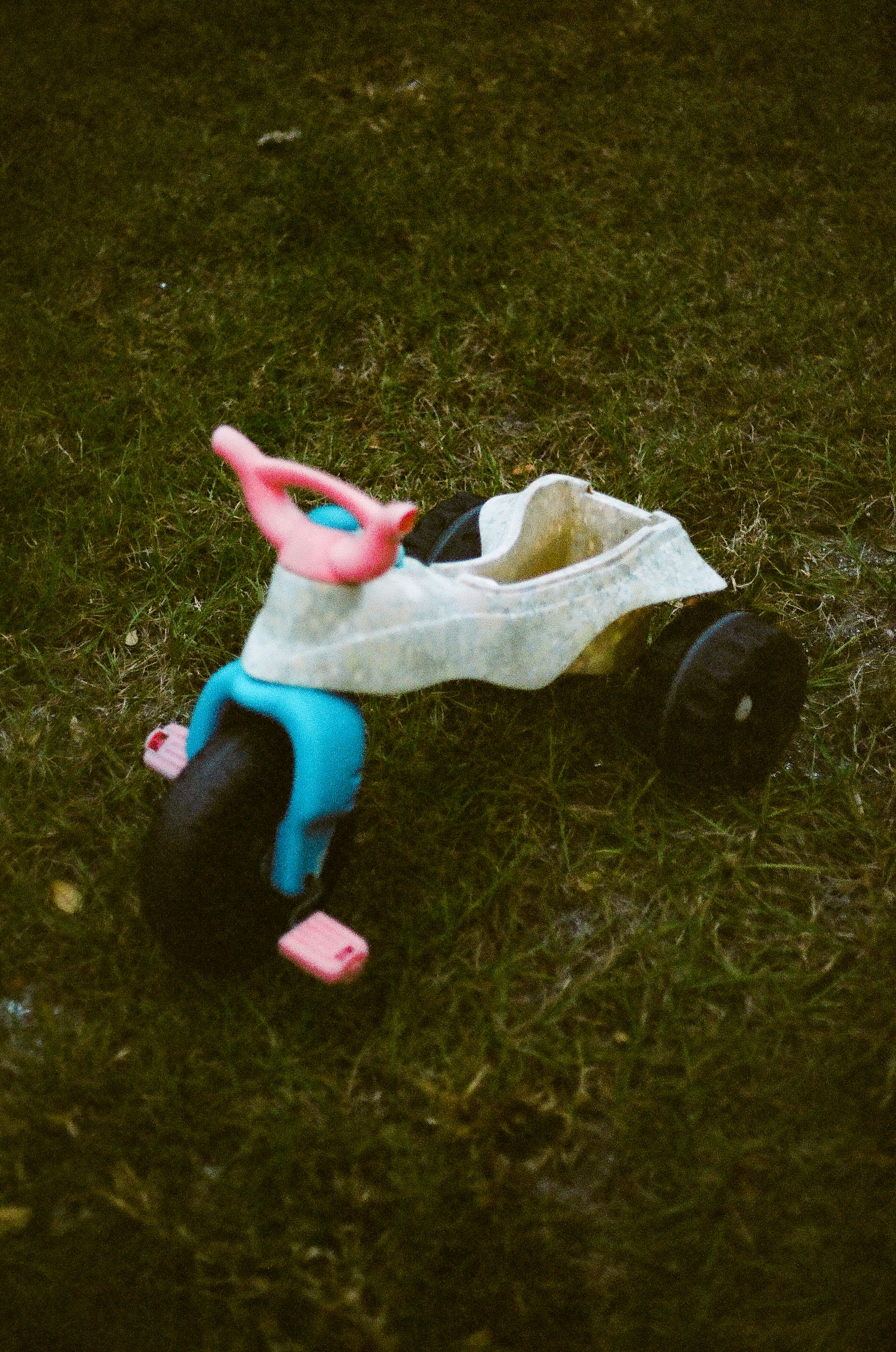 pink and blue plastic toy on green grass